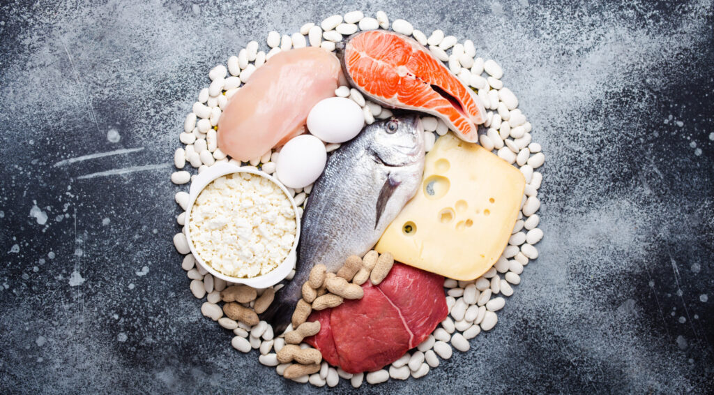 Proteins Building Blocks Of Health OrthoFoodie Proteins building blocks of health orthofoodie