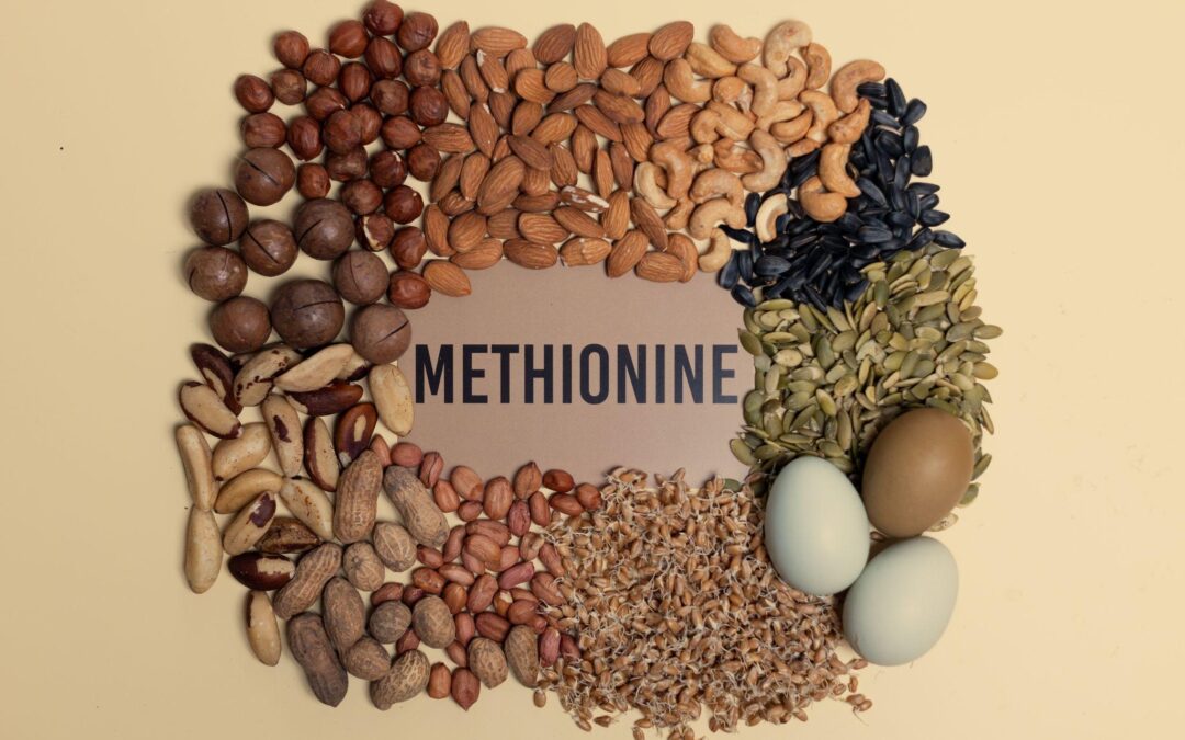 Methionine Matters: The Critical Role of an Essential Amino Acid